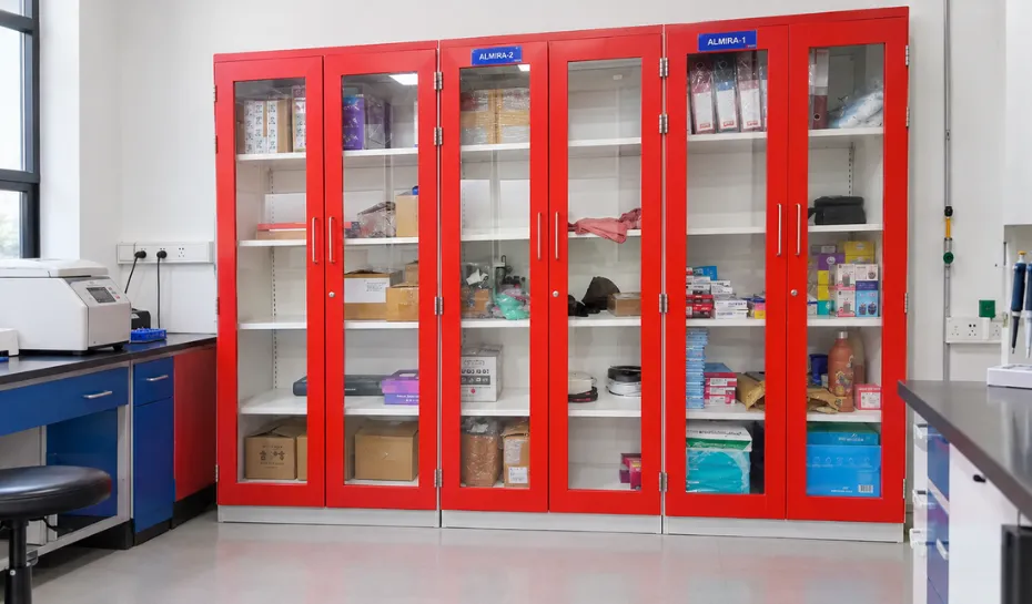 Custom Laboratory Storage Cabinet