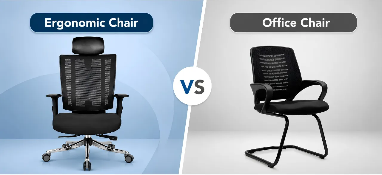 Ergonomic Chair vs Office Chair: What’s the Difference?