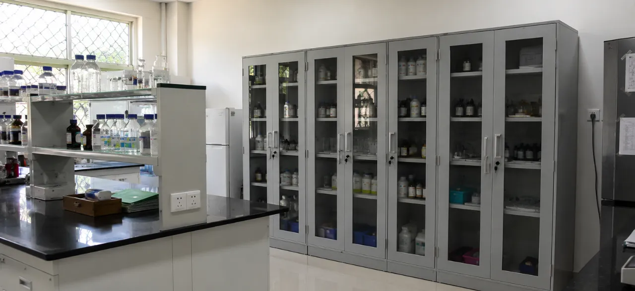 Custom vs Standard Laboratory Storage Cabinets: Which One Is Better?